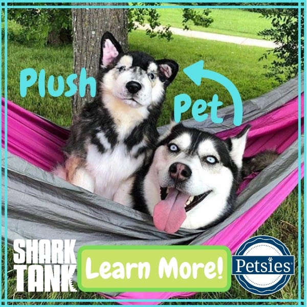 petsies custom stuffed animals