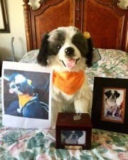Petsies custom stuffed animal pet memorial