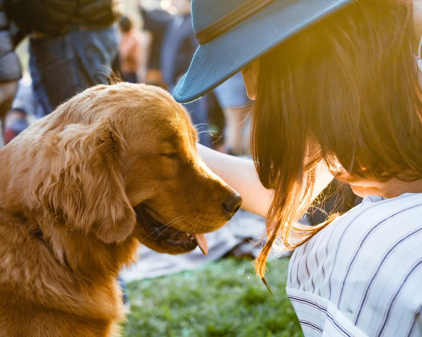 The Best 10 Career Paths for Student Animal Lovers